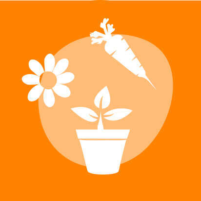 bubble viva garden sortiment